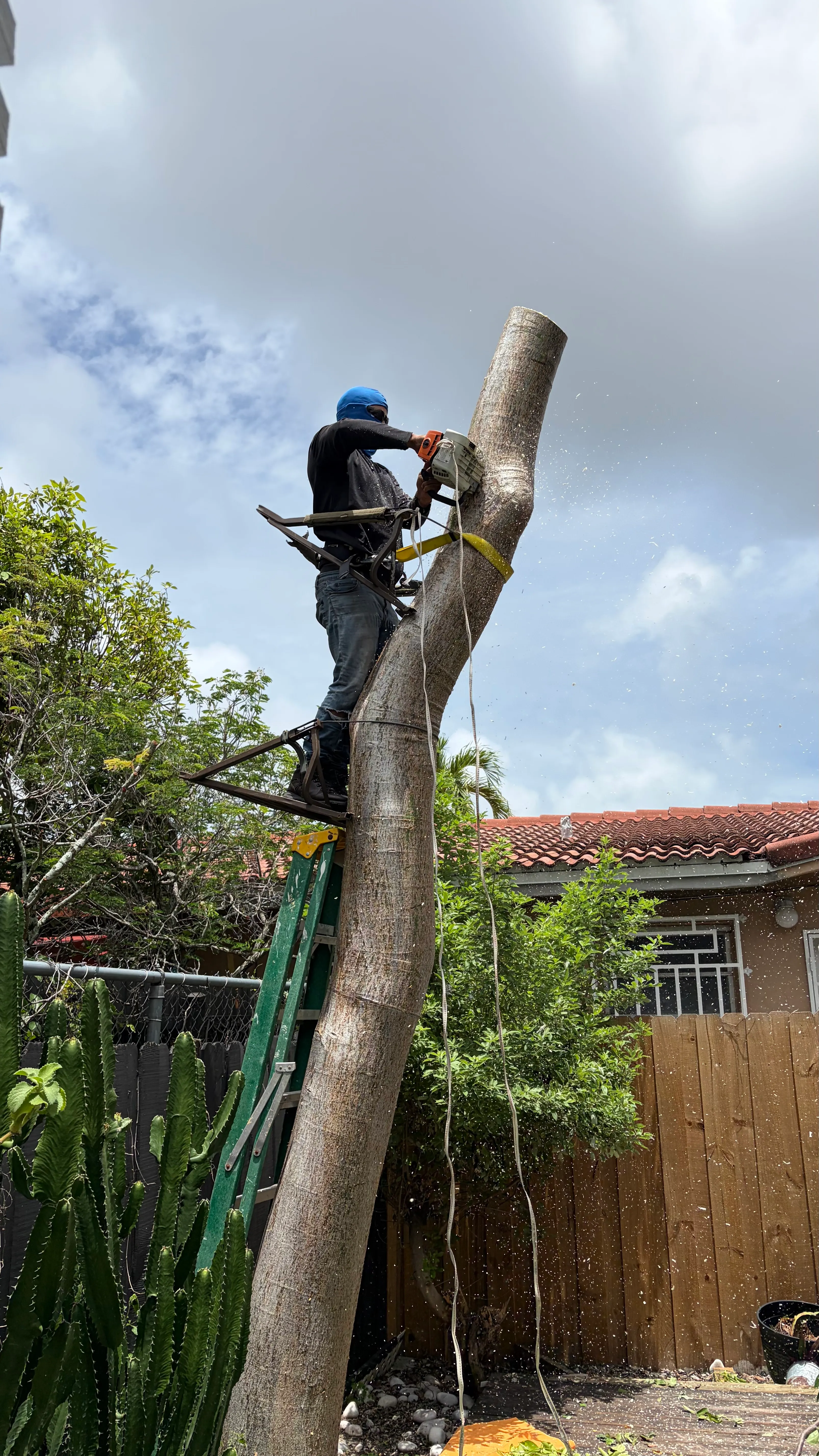 Landscape Work